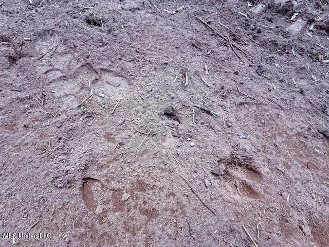 $71,337 | 62182 West Stateline Road, Franklinton, LA 70438