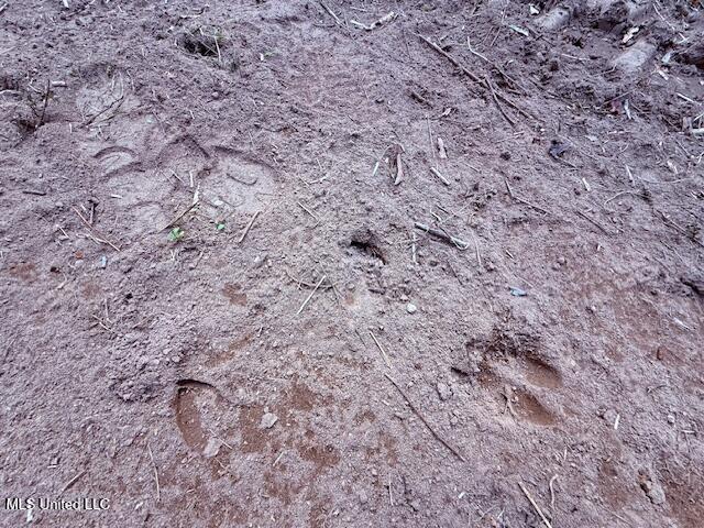 62182 West Stateline Road Franklinton, LA 70438 - Photo 21 of 51 IMG_2110