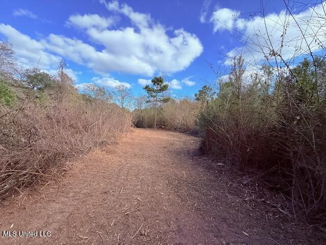 62182 West Stateline Road Franklinton, LA 70438 - Photo 22 of 51 IMG_2111