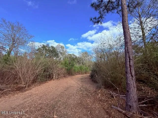 $71,337 | 62182 West Stateline Road, Franklinton, LA 70438