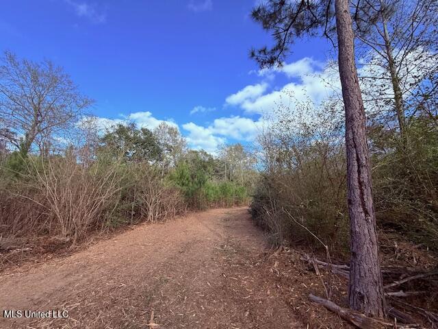 62182 West Stateline Road Franklinton, LA 70438 - Photo 23 of 51 IMG_2112