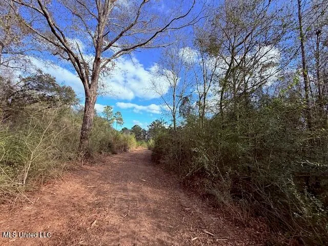 $71,337 | 62182 West Stateline Road, Franklinton, LA 70438