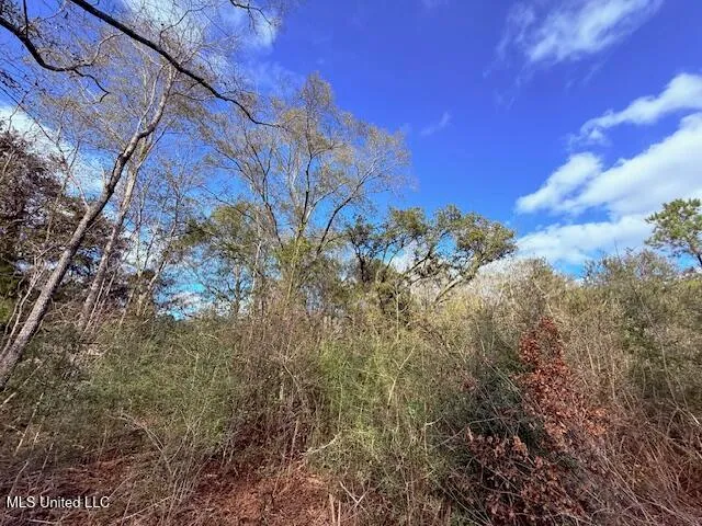 $71,337 | 62182 West Stateline Road, Franklinton, LA 70438