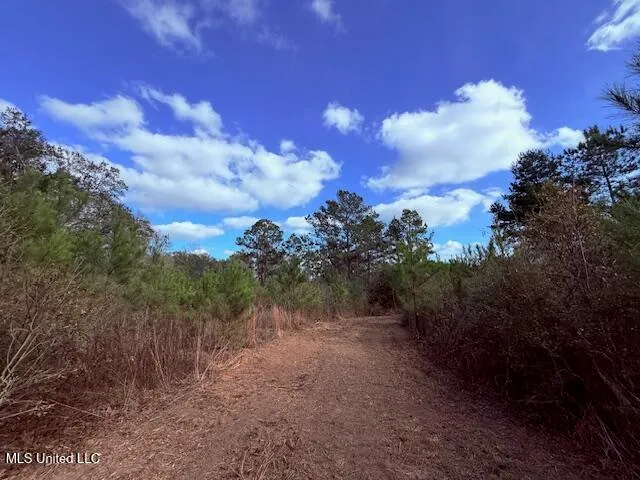 $71,337 | 62182 West Stateline Road, Franklinton, LA 70438