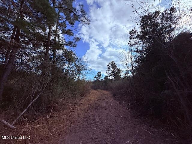 62182 West Stateline Road Franklinton, LA 70438 - Photo 27 of 51 IMG_2117