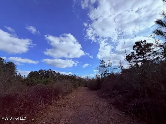 $71,337 | 62182 West Stateline Road, Franklinton, LA 70438