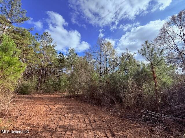 62182 West Stateline Road Franklinton, LA 70438 - Photo 29 of 51 IMG_2119