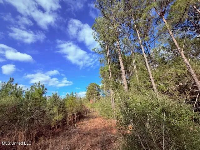 $71,337 | 62182 West Stateline Road, Franklinton, LA 70438