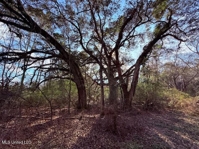 62182 West Stateline Road Franklinton, LA 70438 - Photo 3 of 51 IMG_2091