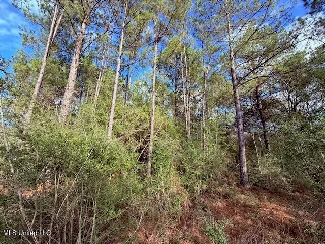 $71,337 | 62182 West Stateline Road, Franklinton, LA 70438