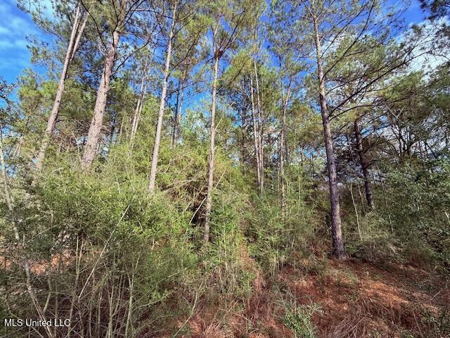 62182 West Stateline Road Franklinton, LA 70438 - Photo 31 of 51 IMG_2121