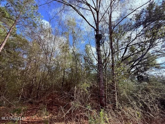 $71,337 | 62182 West Stateline Road, Franklinton, LA 70438