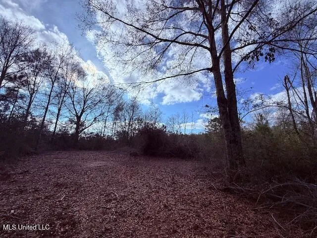 $71,337 | 62182 West Stateline Road, Franklinton, LA 70438