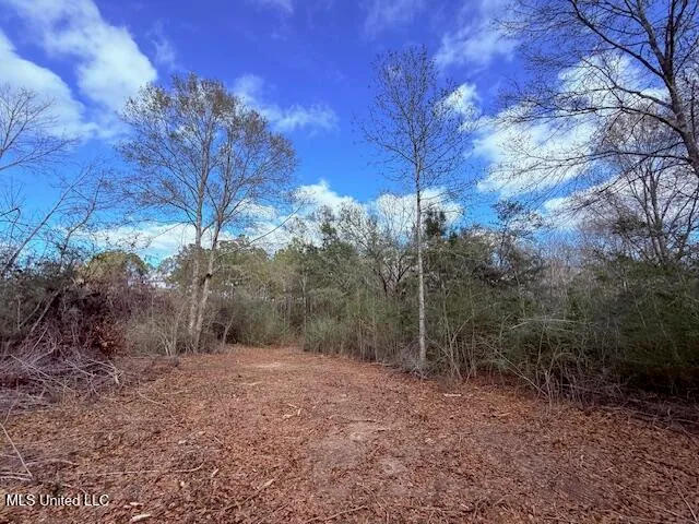 $71,337 | 62182 West Stateline Road, Franklinton, LA 70438