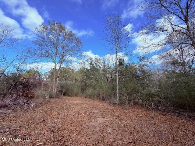 62182 West Stateline Road Franklinton, LA 70438 - Photo 35 of 51 IMG_2125