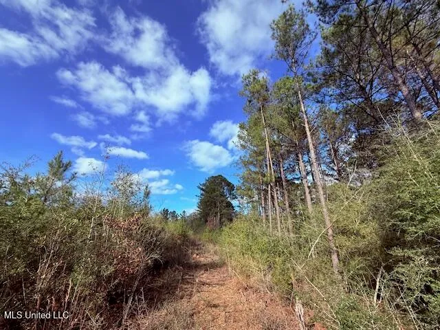 $71,337 | 62182 West Stateline Road, Franklinton, LA 70438