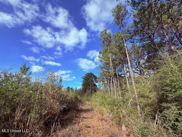 62182 West Stateline Road Franklinton, LA 70438 - Photo 36 of 51 IMG_2126