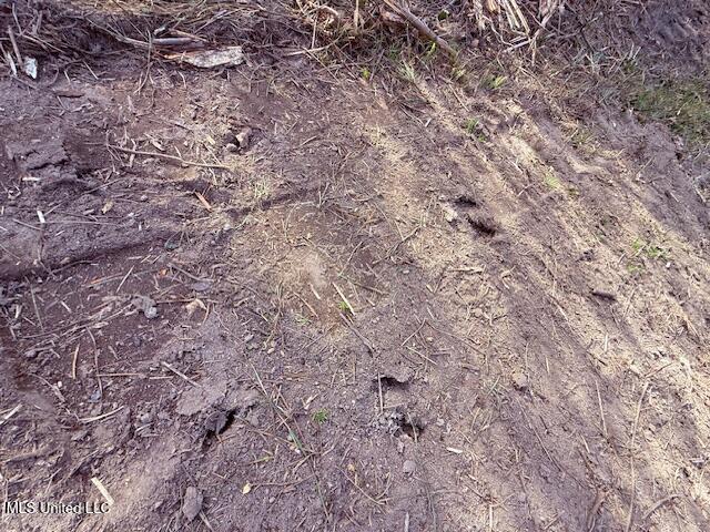 62182 West Stateline Road Franklinton, LA 70438 - Photo 37 of 51 IMG_2127