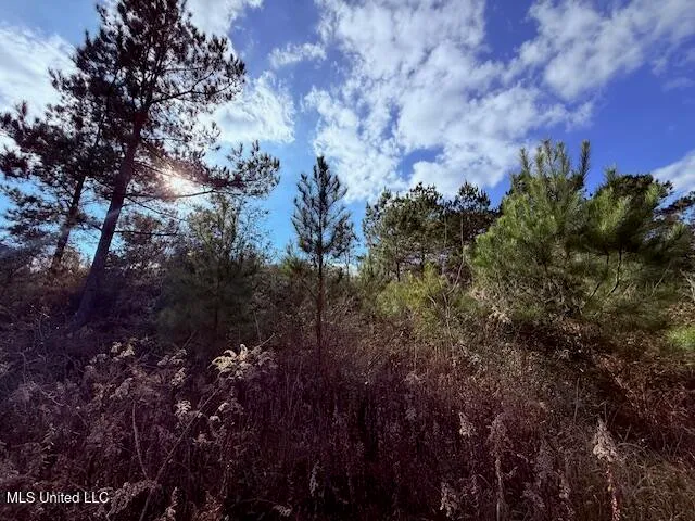 $71,337 | 62182 West Stateline Road, Franklinton, LA 70438