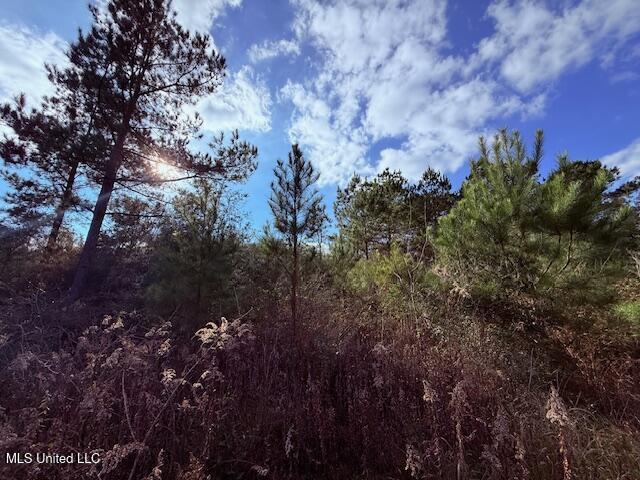 62182 West Stateline Road Franklinton, LA 70438 - Photo 38 of 51 IMG_2128