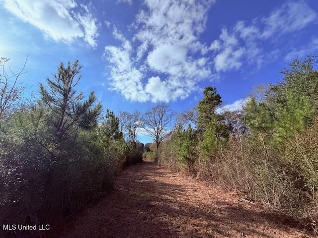 62182 West Stateline Road Franklinton, LA 70438 - Photo 39 of 51 IMG_2129