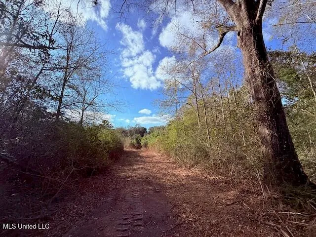 $71,337 | 62182 West Stateline Road, Franklinton, LA 70438