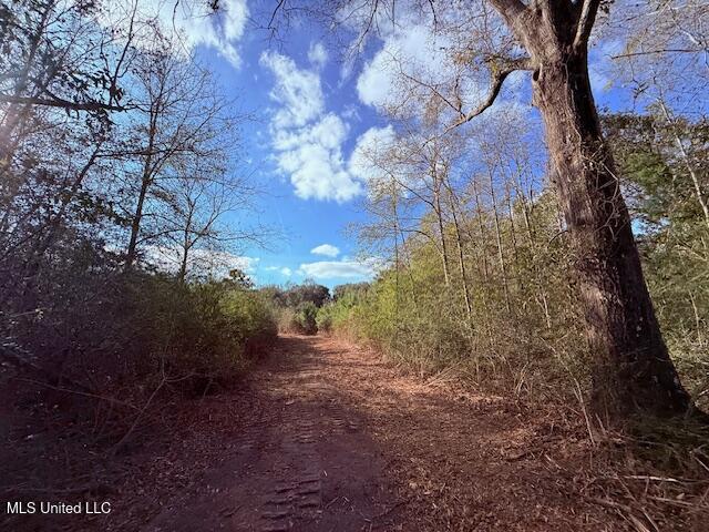 62182 West Stateline Road Franklinton, LA 70438 - Photo 40 of 51 IMG_2130