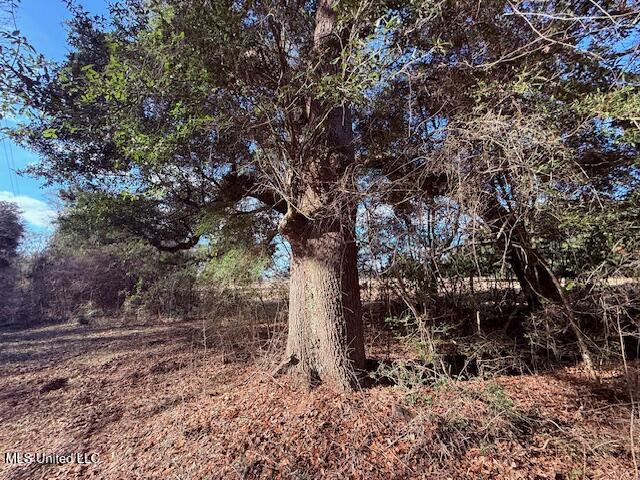 62182 West Stateline Road Franklinton, LA 70438 - Photo 4 of 51 IMG_2092