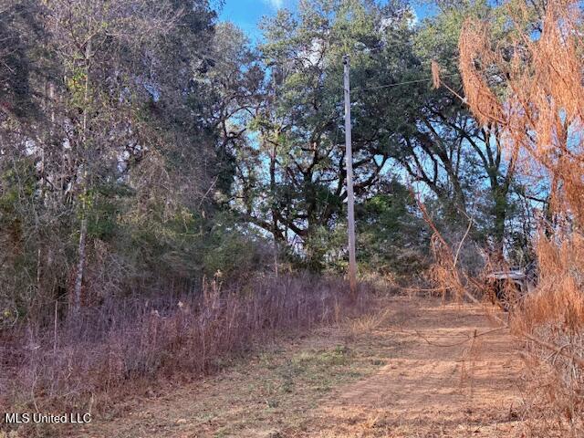 62182 West Stateline Road Franklinton, LA 70438 - Photo 41 of 51 IMG_2131