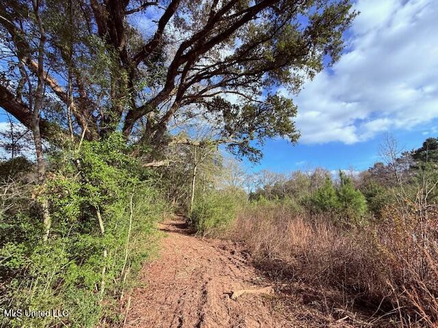 62182 West Stateline Road Franklinton, LA 70438 - Photo 42 of 51 IMG_2132