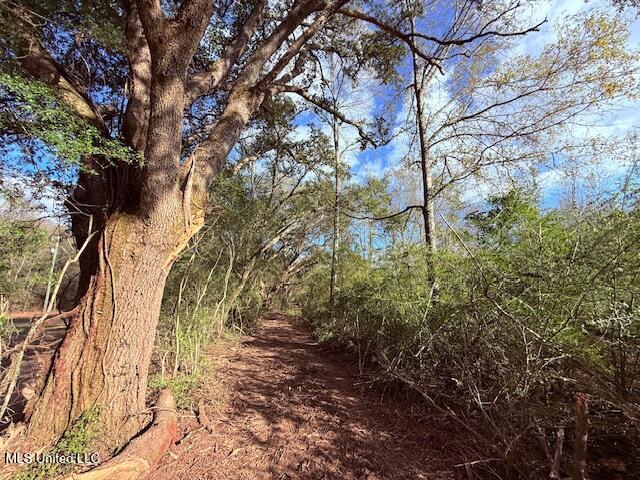 62182 West Stateline Road Franklinton, LA 70438 - Photo 43 of 51 IMG_2133