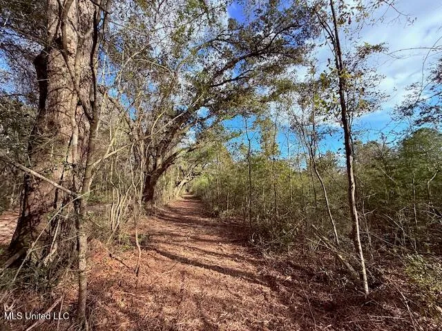 $71,337 | 62182 West Stateline Road, Franklinton, LA 70438