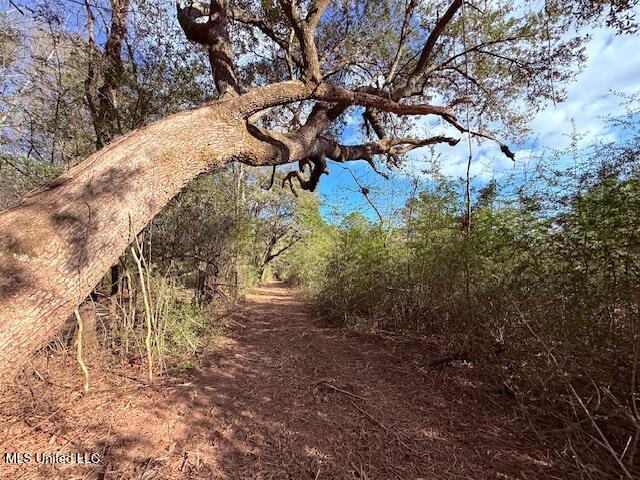 62182 West Stateline Road Franklinton, LA 70438 - Photo 45 of 51 IMG_2135