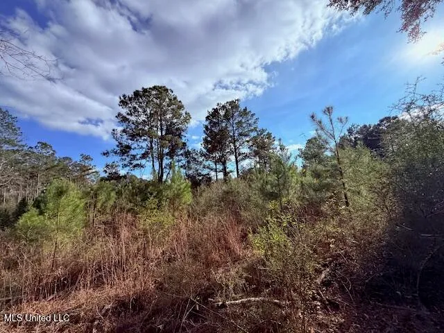 $71,337 | 62182 West Stateline Road, Franklinton, LA 70438