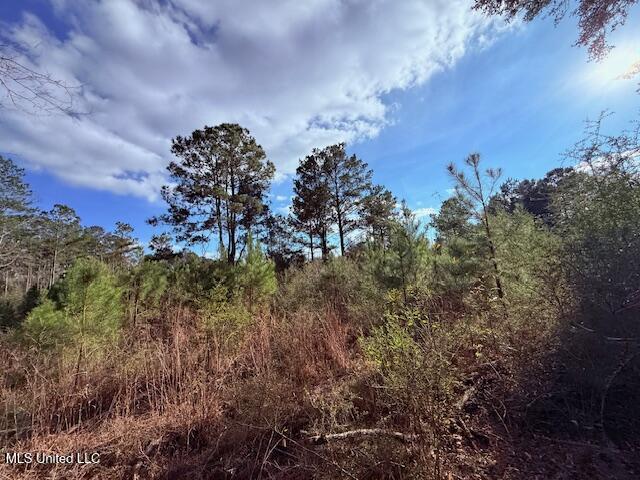 62182 West Stateline Road Franklinton, LA 70438 - Photo 46 of 51 IMG_2136