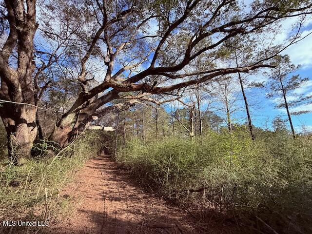 62182 West Stateline Road Franklinton, LA 70438 - Photo 47 of 51 IMG_2137