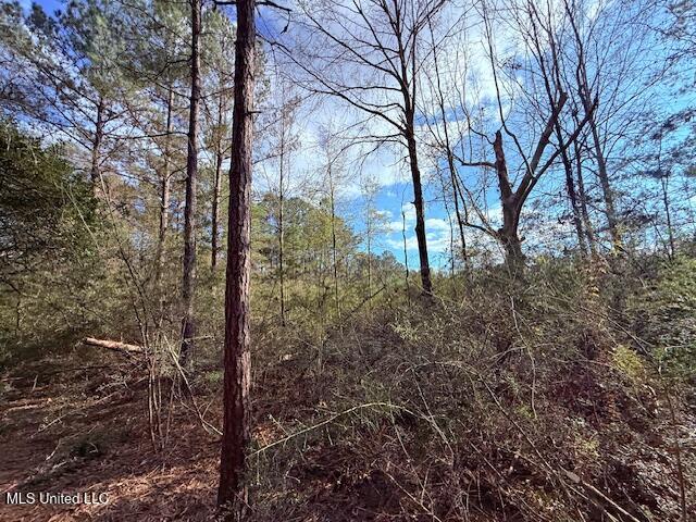 62182 West Stateline Road Franklinton, LA 70438 - Photo 48 of 51 IMG_2138