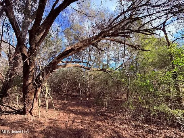 $71,337 | 62182 West Stateline Road, Franklinton, LA 70438