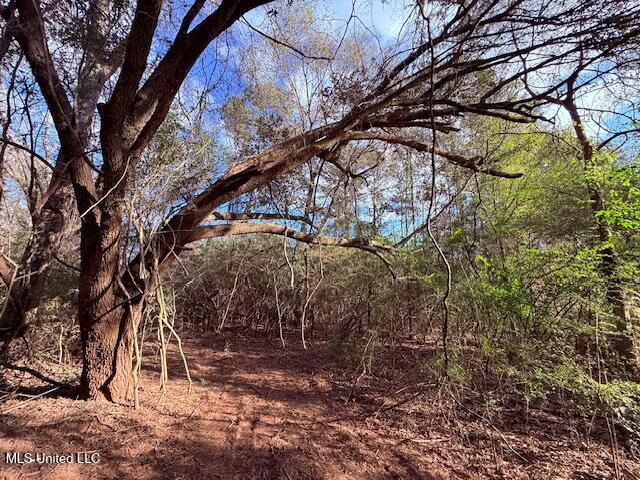 62182 West Stateline Road Franklinton, LA 70438 - Photo 49 of 51 IMG_2139