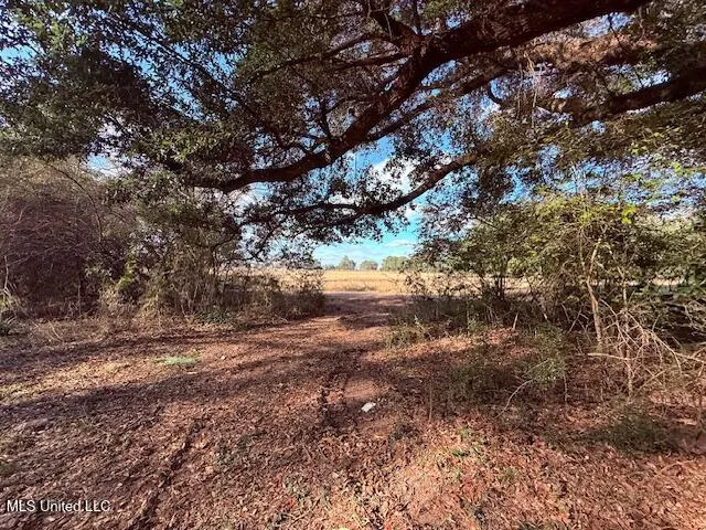 $71,337 | 62182 West Stateline Road, Franklinton, LA 70438