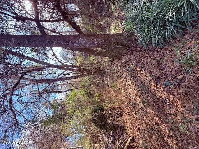 $71,337 | 62182 West Stateline Road, Franklinton, LA 70438