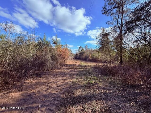 62182 West Stateline Road Franklinton, LA 70438 - Photo 8 of 51 IMG_2096