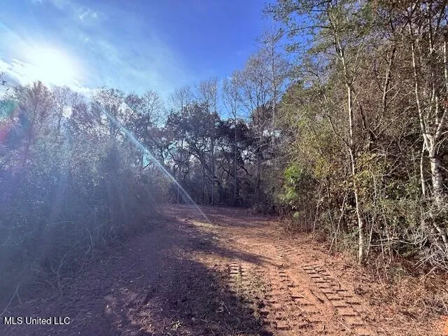 $71,337 | 62182 West Stateline Road, Franklinton, LA 70438