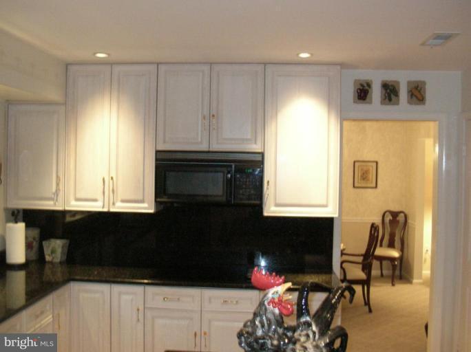19210 Muncaster Road Derwood, MD 20855 - Photo 11 of 27 Kitchen #3