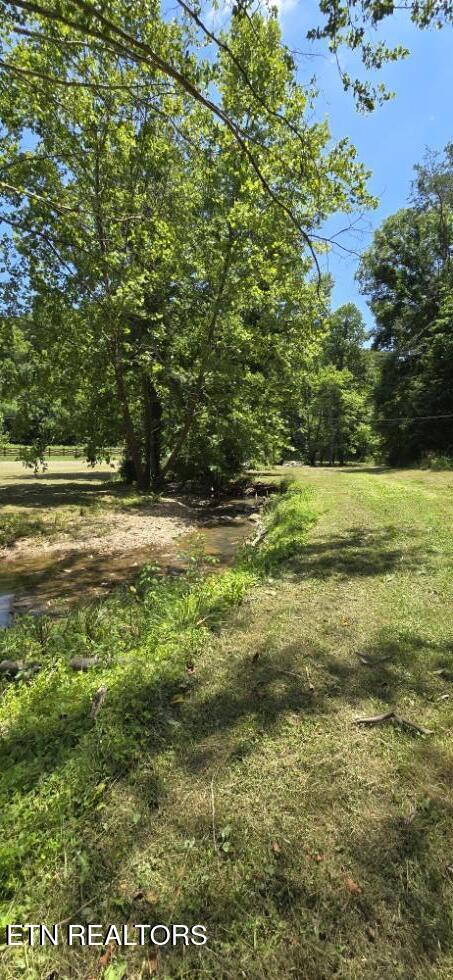 3894 Buffalo Road Oneida, TN 37841 - Photo 29 of 38 20260702_133849