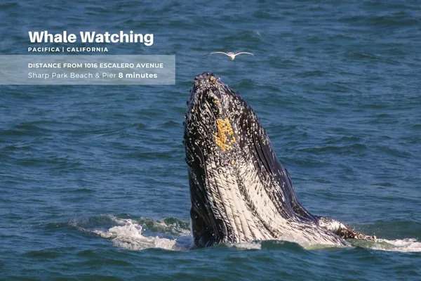 $2,898,000 | 1016 Escalero Avenue, Pacifica, CA 94044