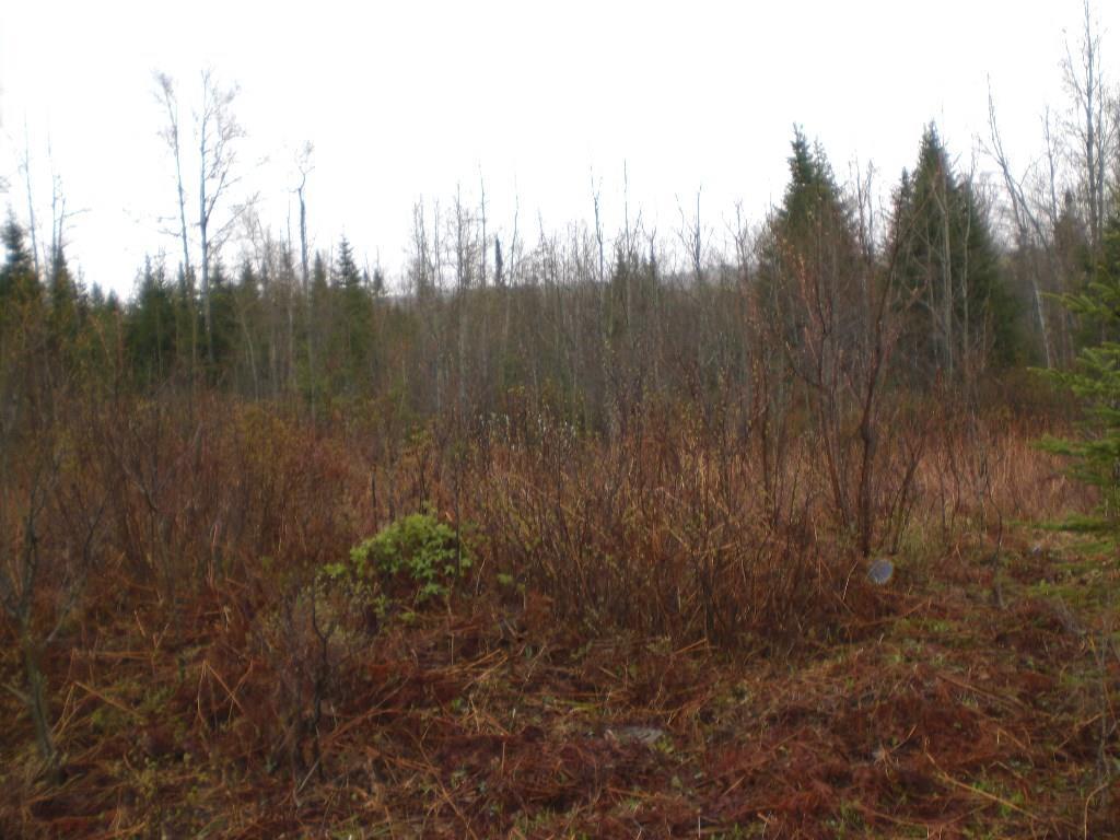 0 Off Route 27 Route Eustis, ME 04936 - Photo 6 of 10 Photo