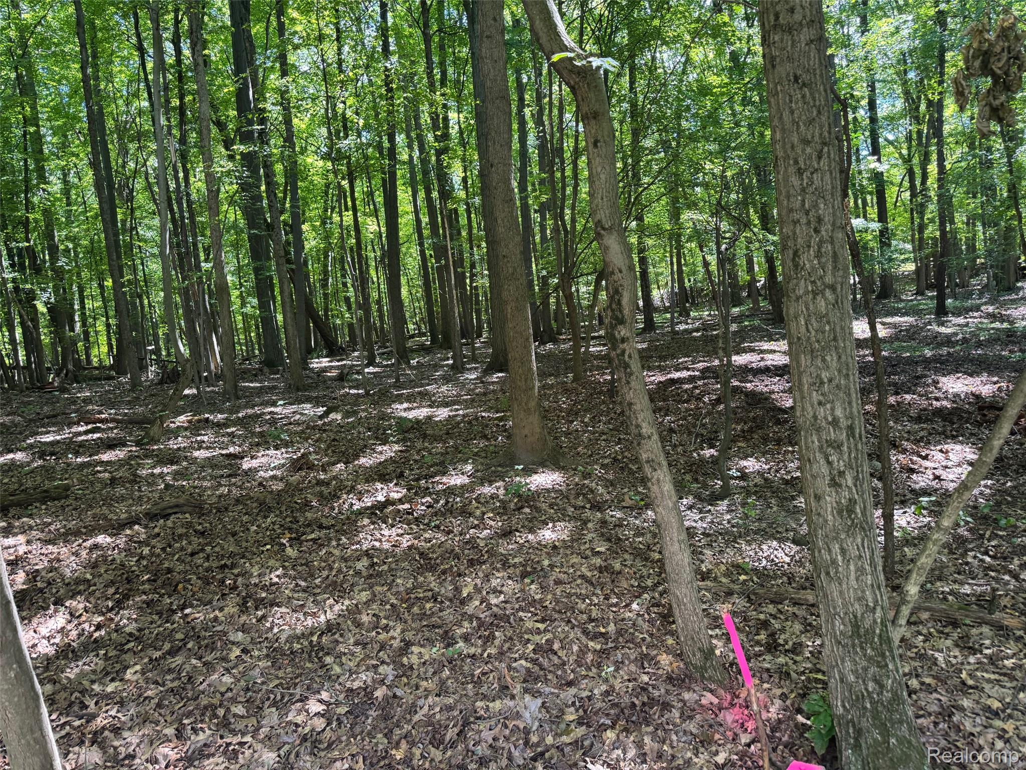 0 Baldwin Road Metamora, MI 48455 - Photo 22 of 23 All corners have been staked and marked.