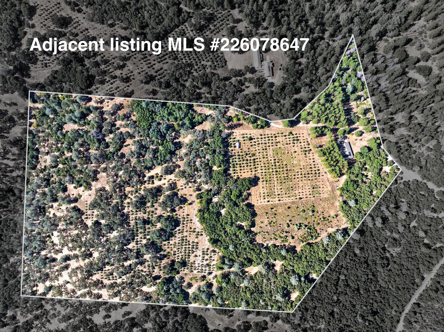 4000 Twin Ridges Road Garden Valley, CA 95633 - Photo 80 of 98