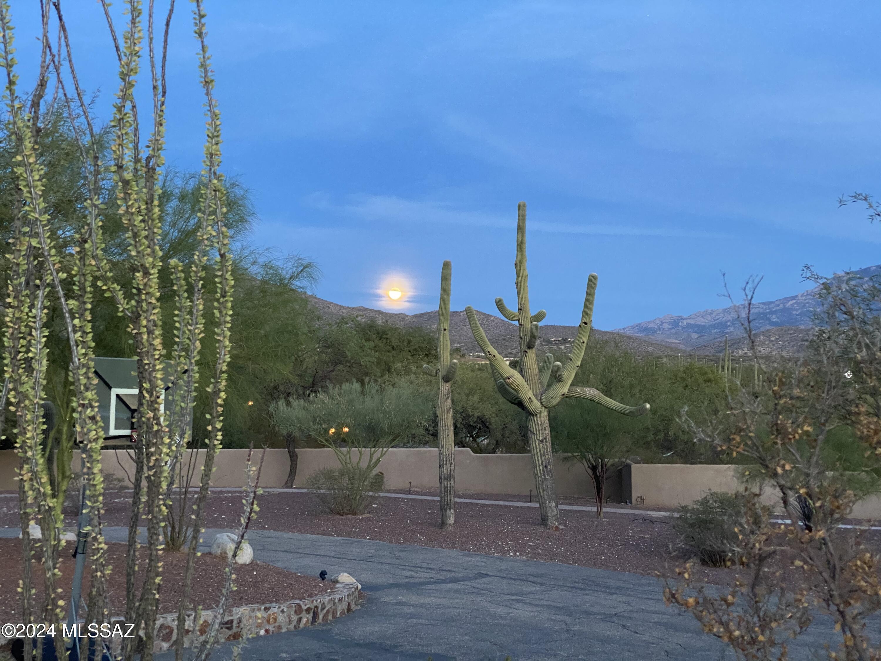 12475 East Fort Lowell Road Tucson, AZ 85749 - Photo 48 of 50 Gallery Image 48